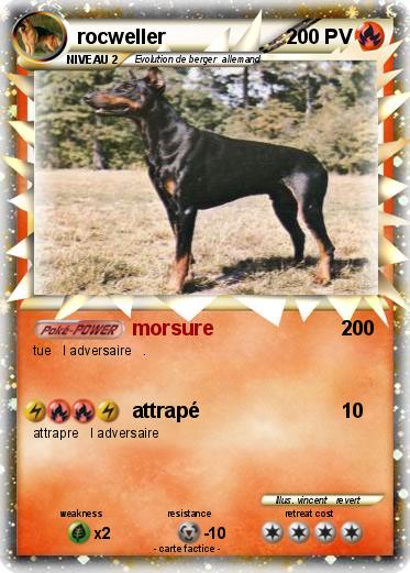 Pokemon rocweller