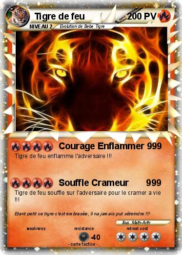 Pokemon Tigre de feu