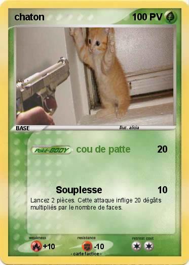 Pokemon chaton