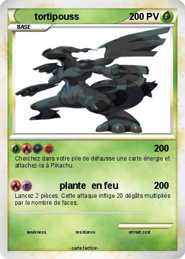 Pokemon tortipouss
