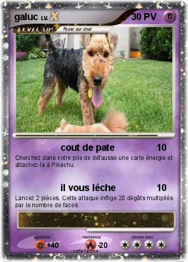 Pokemon galuc