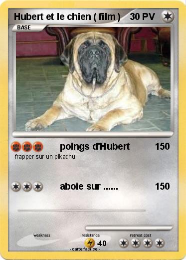 Pokemon Hubert et le chien ( film )