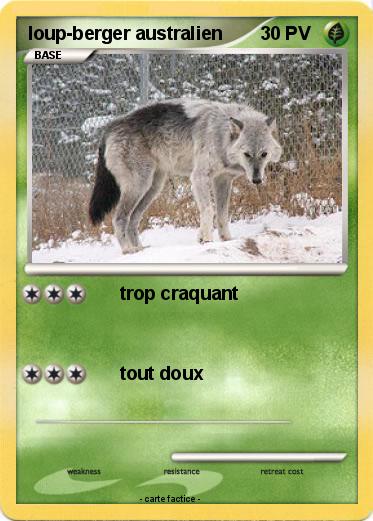 Pokemon loup-berger australien