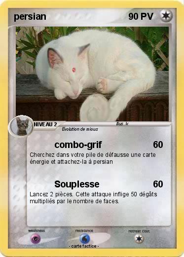 Pokemon persian