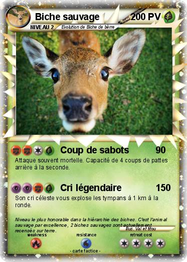 Pokemon Biche sauvage