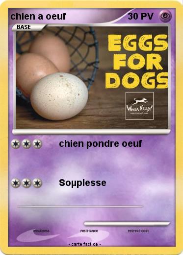 Pokemon chien a oeuf