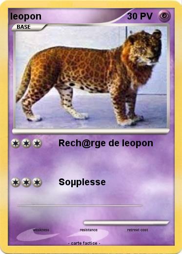 Pokemon leopon