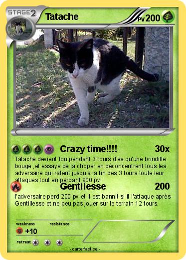 Pokemon Tatache