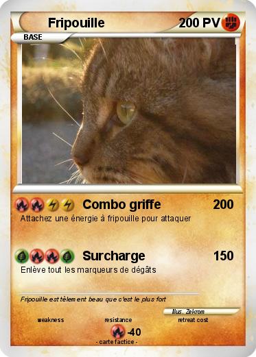 Pokemon Fripouille