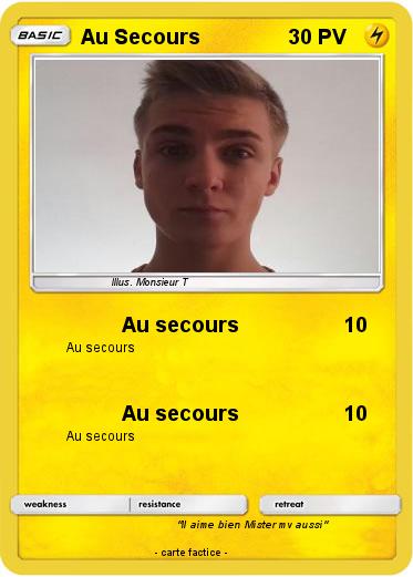 Pokemon Au Secours