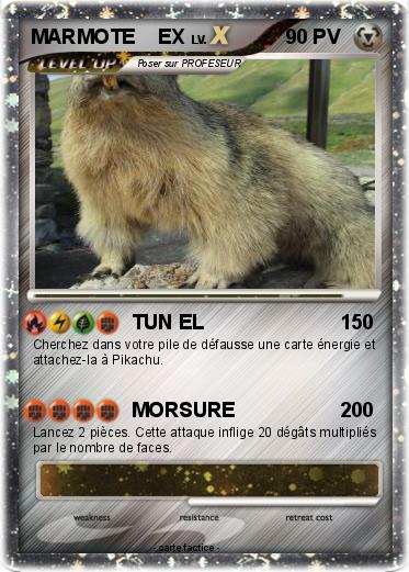 Pokemon MARMOTE    EX
