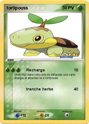 Pokemon tortipouss