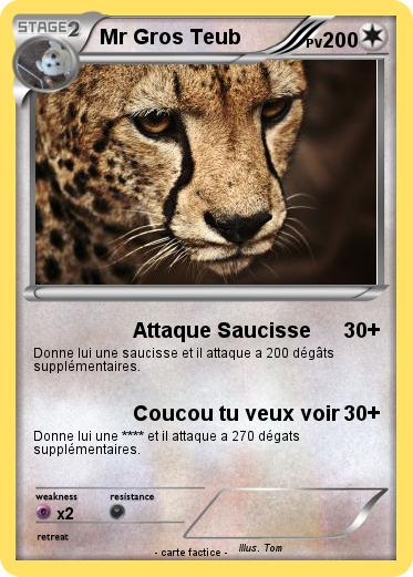 Pokemon Mr Gros Teub