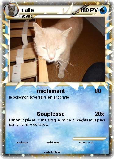 Pokemon calie