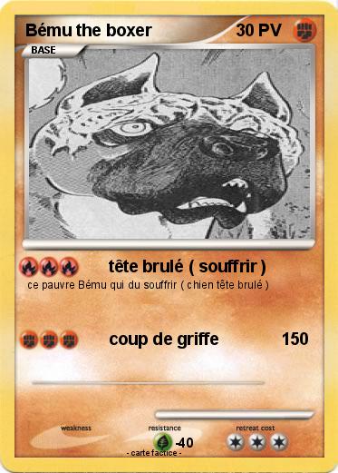 Pokemon Bému the boxer