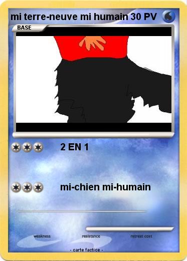 Pokemon mi terre-neuve mi humain