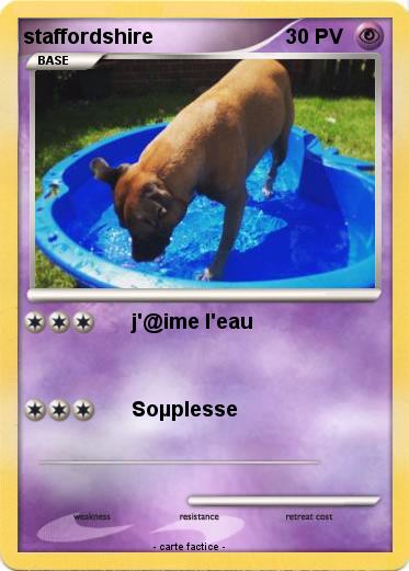 Pokemon staffordshire