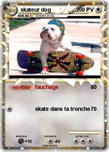 Pokemon skateur dog