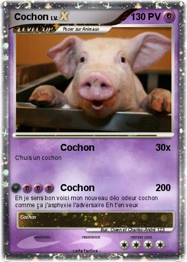 Pokemon Cochon