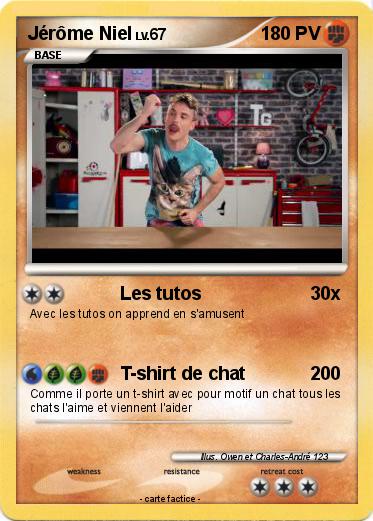 Pokemon Jérôme Niel