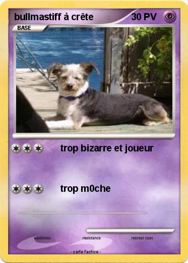 Pokemon bullmastiff à crête