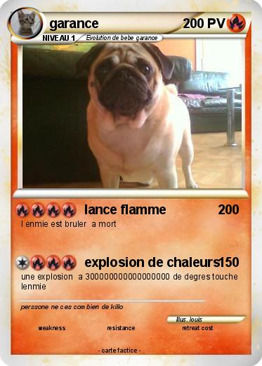 Pokemon garance
