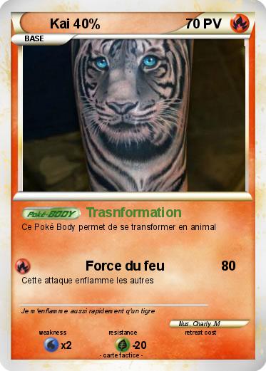 Pokemon Kai 40%