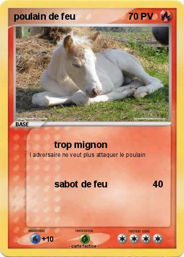 Pokemon poulain de feu