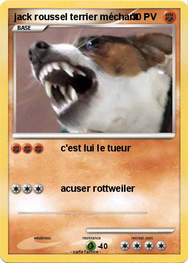 Pokemon jack roussel terrier méchant