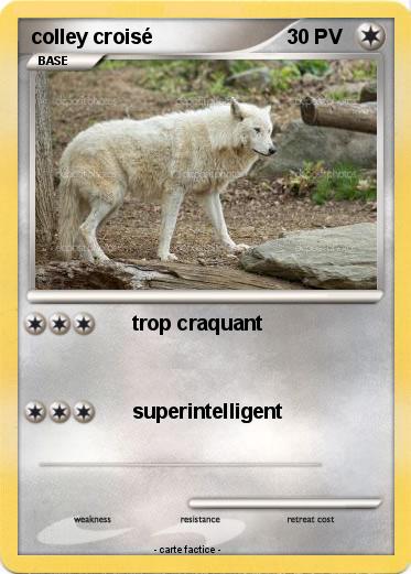 Pokemon colley croisé