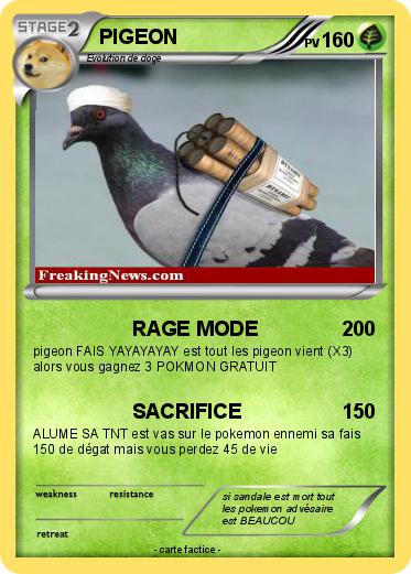 Pokemon PIGEON
