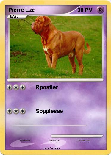Pokemon Pierre Lze