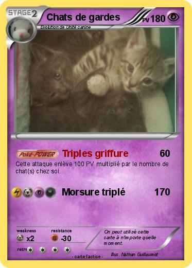 Pokemon Chats de gardes