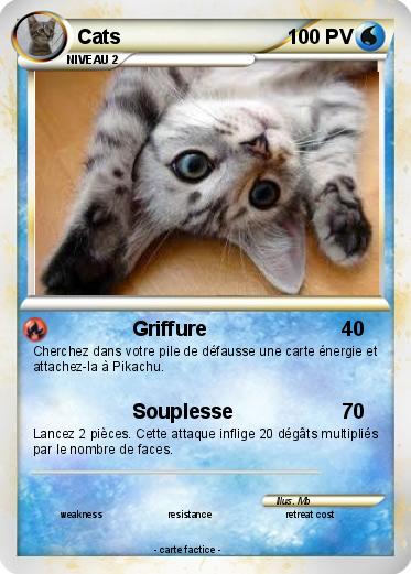 Pokemon Cats
