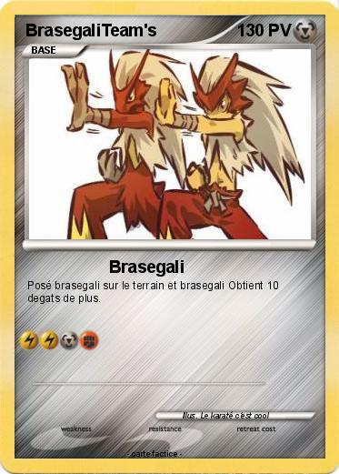 Pokemon BrasegaliTeam's
