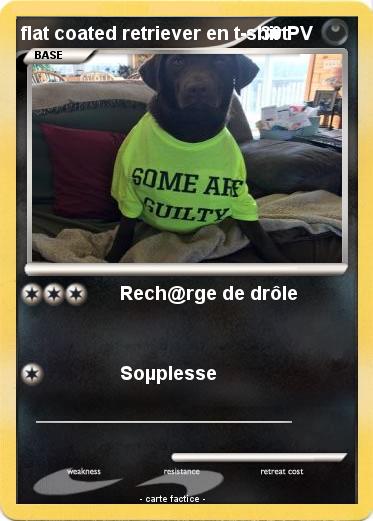 Pokemon flat coated retriever en t-shirt