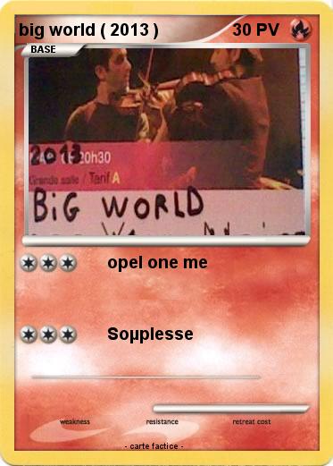 Pokemon big world ( 2013 )