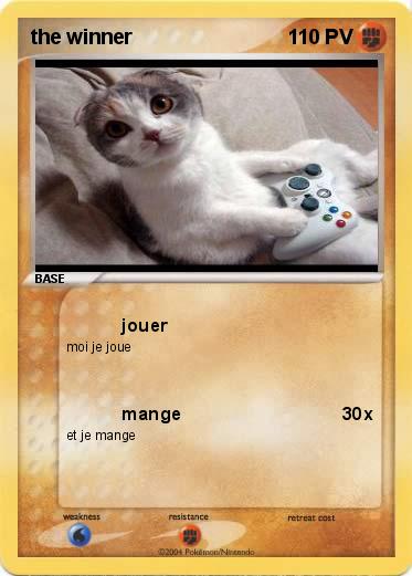 Pokemon the winner
