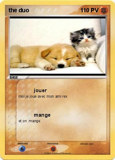 Pokemon the duo