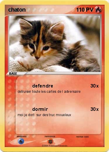 Pokemon chaton