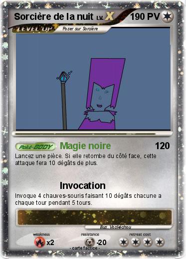 Pokemon Sorcière de la nuit