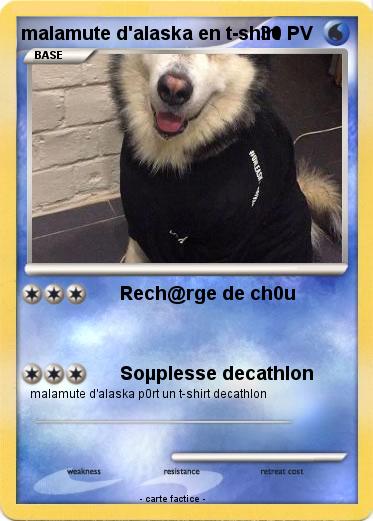 Pokemon malamute d'alaska en t-shirt