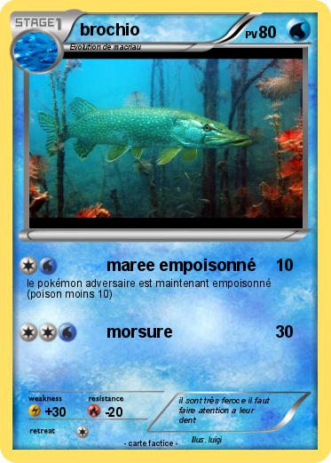 Pokemon brochio