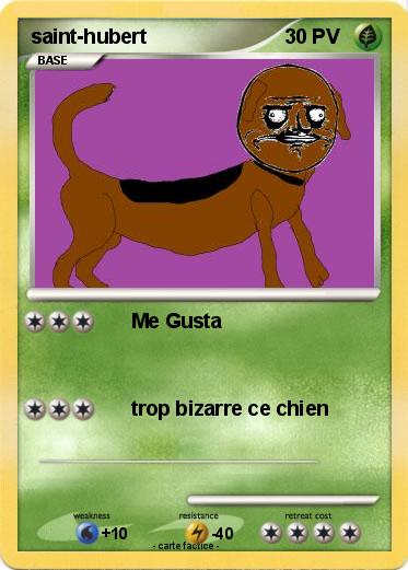 Pokemon saint-hubert