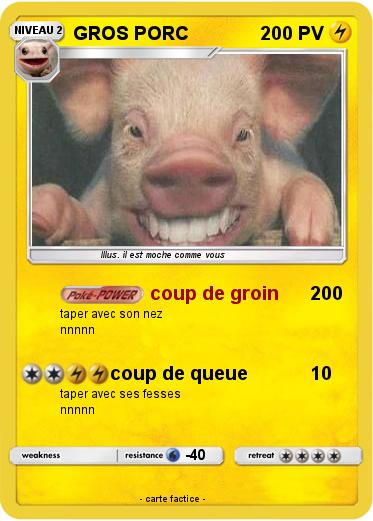 Pokemon GROS PORC