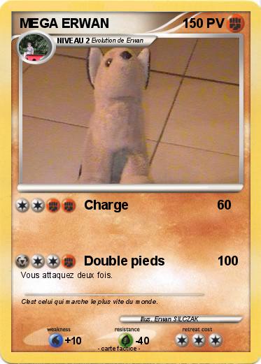 Pokemon MEGA ERWAN