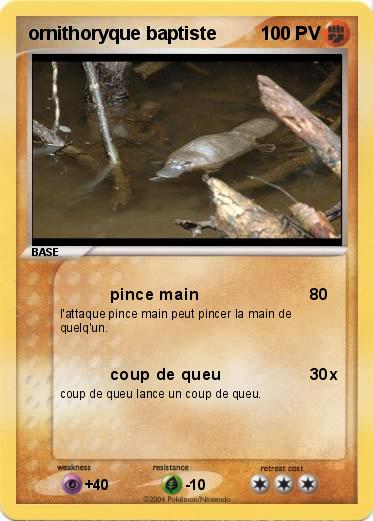 Pokemon ornithoryque baptiste