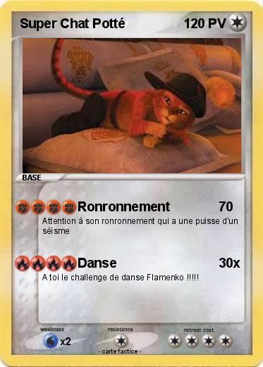 Pokemon Super Chat Potté