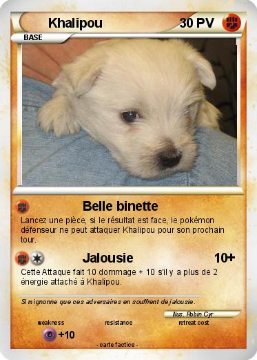 Pokemon Khalipou