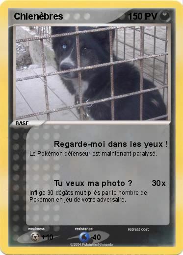 Pokemon Chienèbres